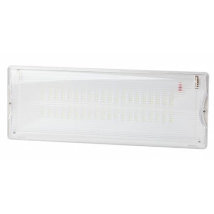 Аварийный светильник DPA-301-1-65 постоянный 40LED 3ч IP65 NiCD