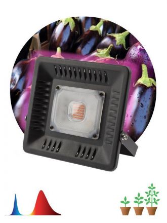 Прожектор ссветодиодный для выращивания растений  FITO-50W-LED BLUERED ЭРА