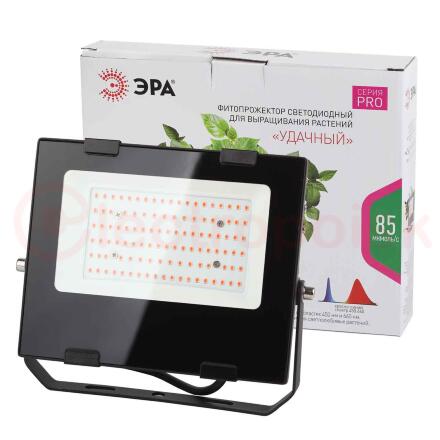 Прожектор красно-синего спектра FITO-100W-RB-LED ЭРА