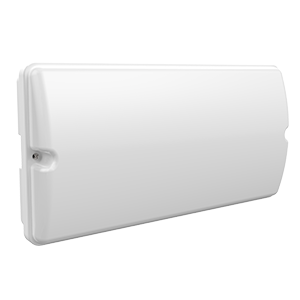 Светильник светодиодный ДБО-15Вт IP65 1000Лм Giant EM белый