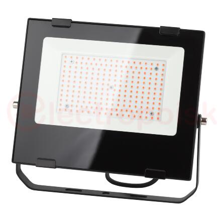 Прожектор красно-синего спектра FITO-50W-RB-LED ЭРА