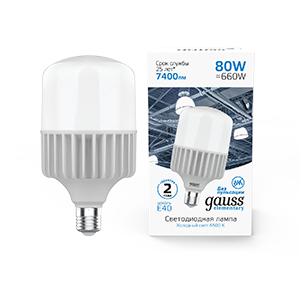 Лампа светодиодная LED 80 Вт 6400 Лм 6500К холодная E40 T140 Elementary Gauss